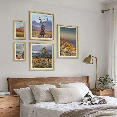 Tableau de décoration murale Paysages de faune et de flore de montagne