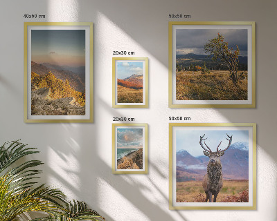 Tableau de décoration murale Paysages de faune et de flore de montagne