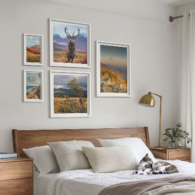 Tableau de décoration murale Paysages de faune et de flore de montagne