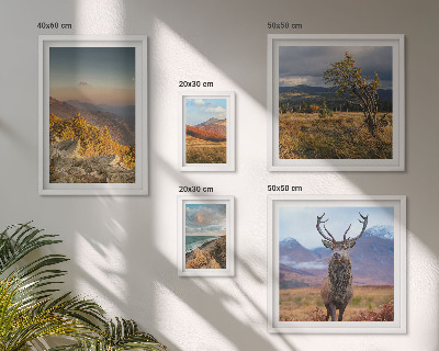Tableau de décoration murale Paysages de faune et de flore de montagne