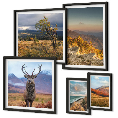 Tableau de décoration murale Paysages de faune et de flore de montagne