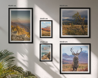 Tableau de décoration murale Paysages de faune et de flore de montagne