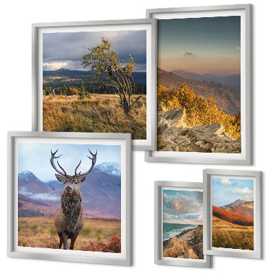 Tableau de décoration murale Paysages de faune et de flore de montagne