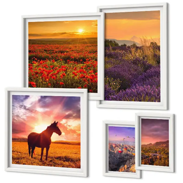 Lot de tableaux encadrés représentant des paysages naturels avec des chevaux et des fleurs