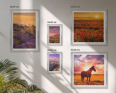 Lot de tableaux encadrés Paysages naturels chevaux fleurs