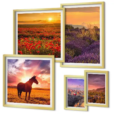 Lot de tableaux encadrés représentant des paysages naturels avec des chevaux et des fleurs