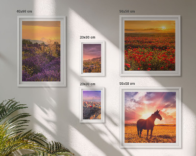 Lot de tableaux encadrés Paysages naturels chevaux fleurs
