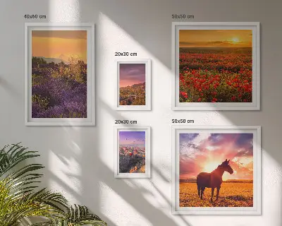 Lot de tableaux encadrés représentant des paysages naturels avec des chevaux et des fleurs