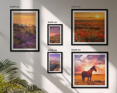 Lot de tableaux encadrés Paysages naturels chevaux fleurs
