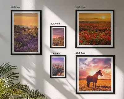 Lot de tableaux encadrés représentant des paysages naturels avec des chevaux et des fleurs
