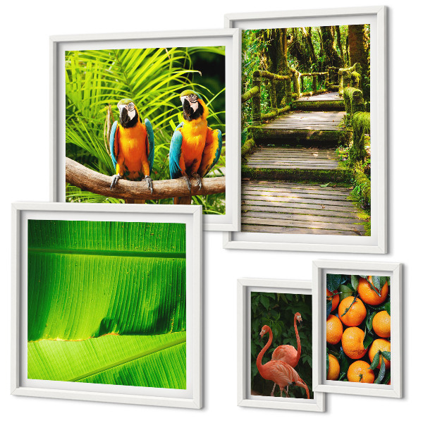 Tableau de décoration murale Motifs de fruits tropicaux