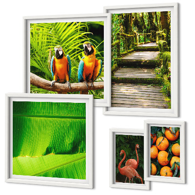 Tableau de décoration murale Motifs de fruits tropicaux