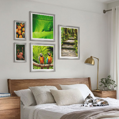 Tableau de décoration murale Motifs de fruits tropicaux