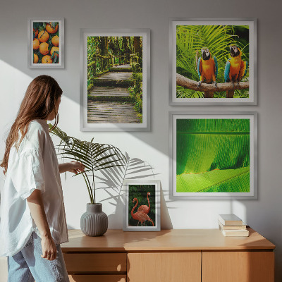 Tableau de décoration murale Motifs de fruits tropicaux