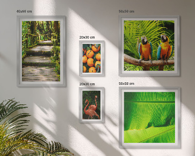 Tableau de décoration murale Motifs de fruits tropicaux