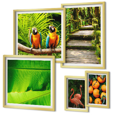 Tableau de décoration murale Motifs de fruits tropicaux