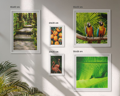 Tableau de décoration murale Motifs de fruits tropicaux