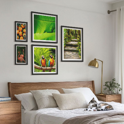 Tableau de décoration murale Motifs de fruits tropicaux