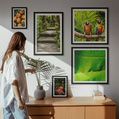 Tableau de décoration murale Motifs de fruits tropicaux