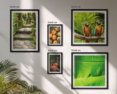 Tableau de décoration murale Motifs de fruits tropicaux