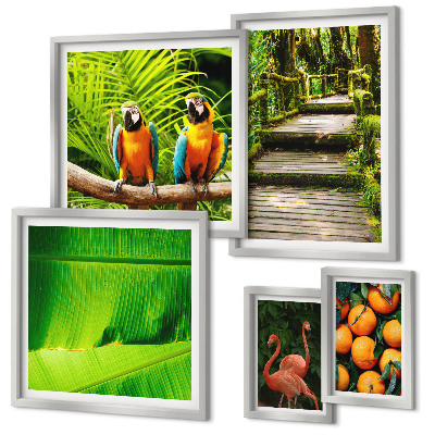 Tableau de décoration murale Motifs de fruits tropicaux