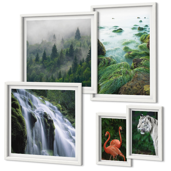 Lot de tableaux encadrés Nature animaux sauvages paysages