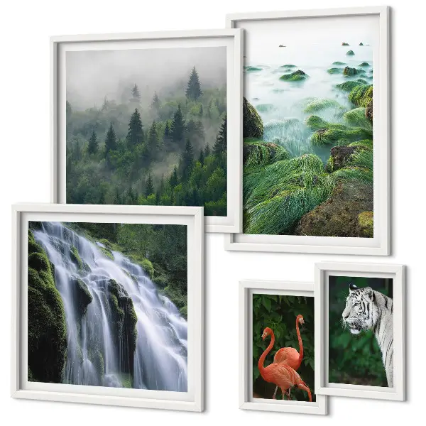 Lot de tableaux encadrés représentant des paysages et animaux sauvages