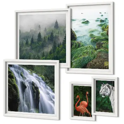 Lot de tableaux encadrés représentant des paysages et animaux sauvages