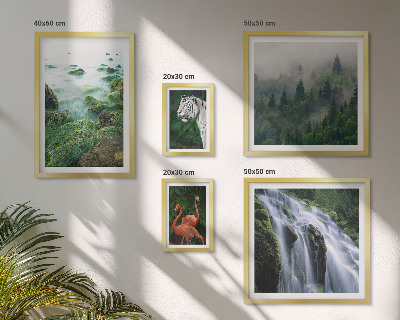 Lot de tableaux encadrés Nature animaux sauvages paysages
