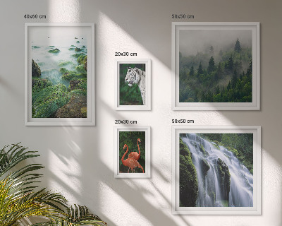 Lot de tableaux encadrés Nature animaux sauvages paysages