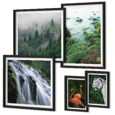 Lot de tableaux encadrés représentant des paysages et animaux sauvages