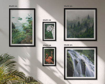 Lot de tableaux encadrés Nature animaux sauvages paysages