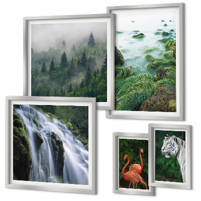 Lot de tableaux encadrés Nature animaux sauvages paysages