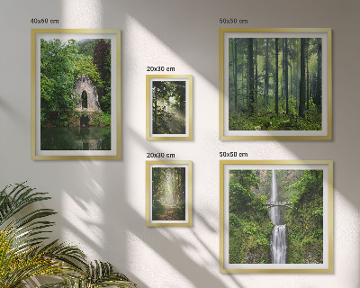Tableau de décoration murale Forêts vertes cascades nature