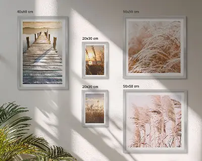 Lot de tableaux encadrés avec des vues paisibles sur la nature