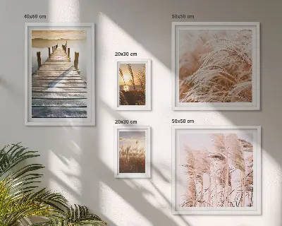 Lot de tableaux encadrés avec des vues paisibles sur la nature
