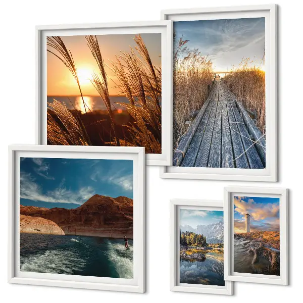 Ensemble de 5 tableaux représentant un sentier de végétation aquatique et un paysage