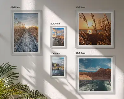 Ensemble de 5 tableaux représentant un sentier de végétation aquatique et un paysage