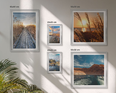 Ensemble de 5 tableaux Sentier de végétation aquatique et de paysages