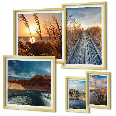 Ensemble de 5 tableaux représentant un sentier de végétation aquatique et un paysage