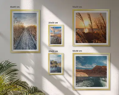 Ensemble de 5 tableaux représentant un sentier de végétation aquatique et un paysage