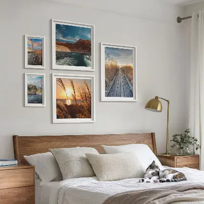 Ensemble de 5 tableaux représentant un sentier de végétation aquatique et un paysage