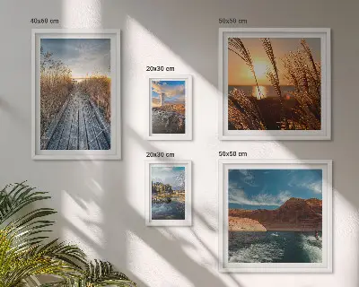 Ensemble de 5 tableaux représentant un sentier de végétation aquatique et un paysage