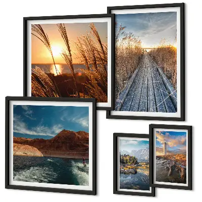 Ensemble de 5 tableaux représentant un sentier de végétation aquatique et un paysage