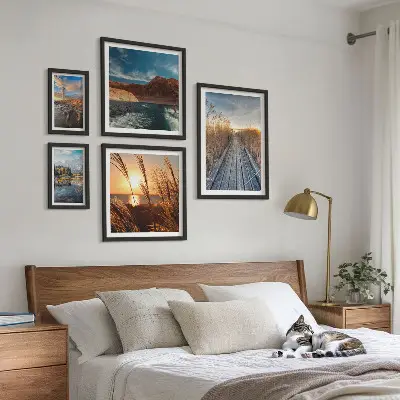 Ensemble de 5 tableaux représentant un sentier de végétation aquatique et un paysage