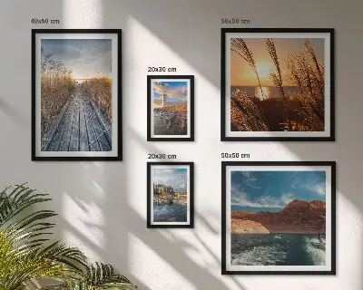Ensemble de 5 tableaux représentant un sentier de végétation aquatique et un paysage