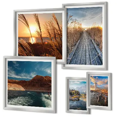 Ensemble de 5 tableaux représentant un sentier de végétation aquatique et un paysage