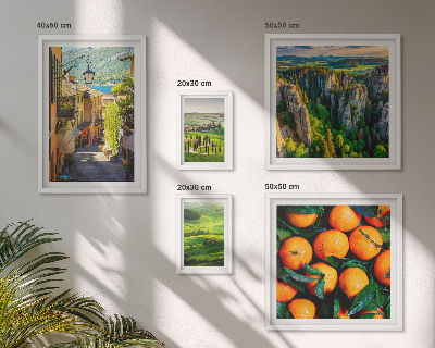 Tableau de décoration murale Paysages ruraux charmants