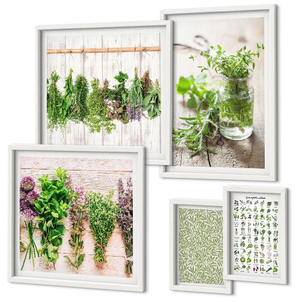 Lot de tableaux encadrés Inspirations de décoration à base de plantes