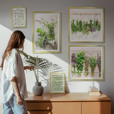 Lot de tableaux encadrés Inspirations de décoration à base de plantes